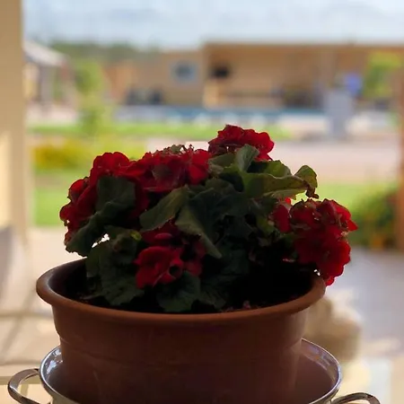 Le Stanze Di Chiara Maison d'hôtes