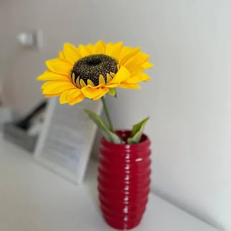 Le Stanze Di Chiara 4* Torre Lapillo