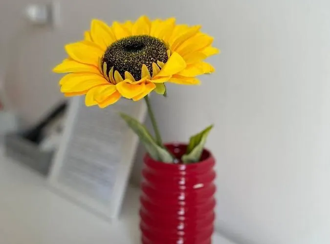 Le Stanze Di Chiara 4* Torre Lapillo