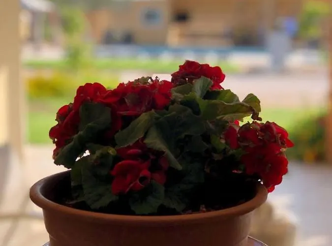 Le Stanze Di Chiara Pensión